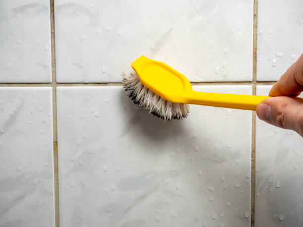 Best Emergency Mold Removal  in Sheridan, AR