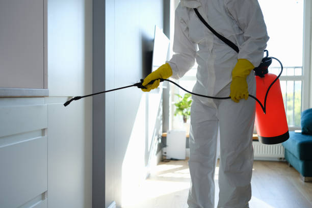 Best Fast Mold Removal  in Sheridan, AR