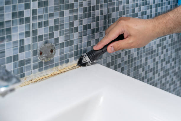 Mold Testing and Removal in Sheridan, AR